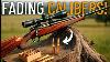 Top 5 Classic Calibers That Are Quietly Fading Away